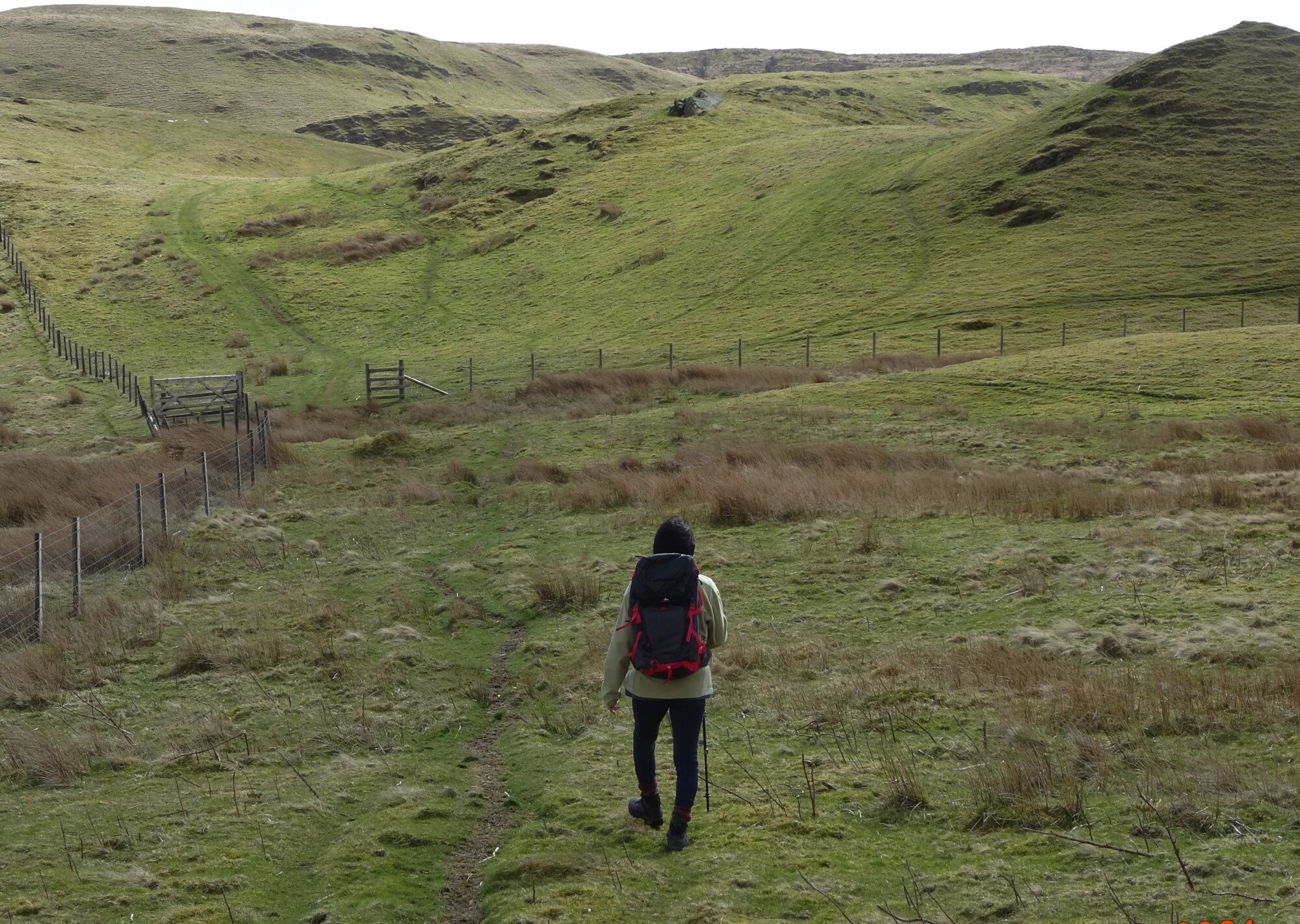 RachelSeabrook.net | Wild Walking | Ponterwyd and Pen Dihewyd | pic14
